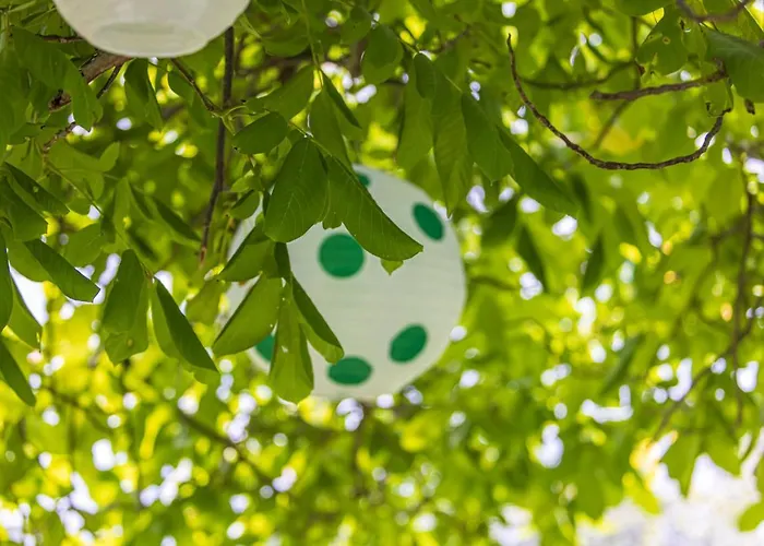 Vytauto 105, By Cohost *