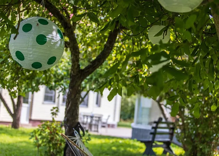 Vytauto 105, By Cohost Palanga