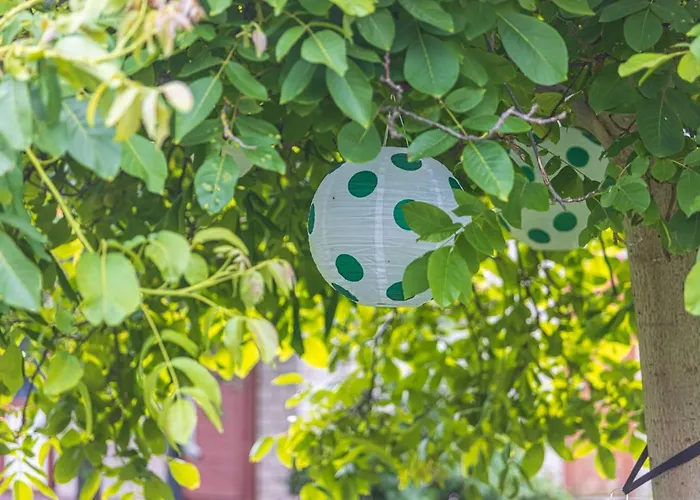 Vytauto 105, By Cohost Palanga